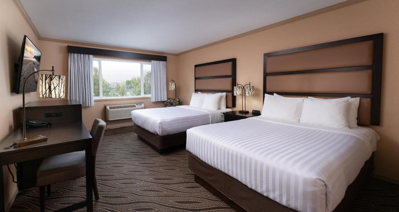 Prestige Inn Golden Εξωτερικό φωτογραφία